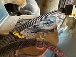 Motor with Emission Label