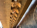 Bastidor with Agarraderas de transmisión del cinturón de goma