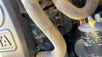 Motor with Engine - Right Side