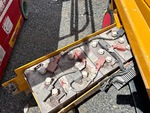 Electrical with 