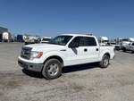 General Appearance with Featured Photo
