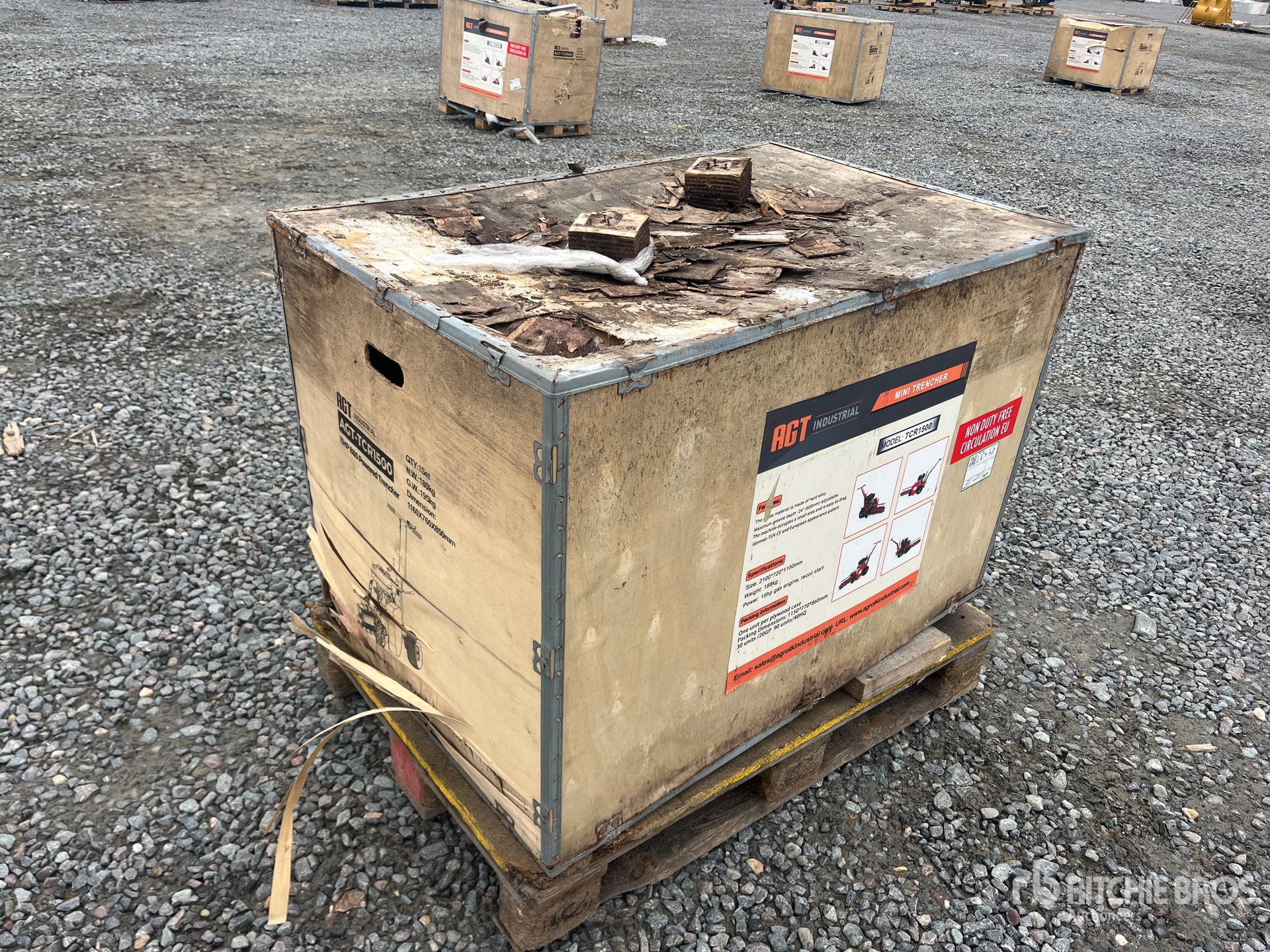 General Appearance with Bild, Ecke vorne links