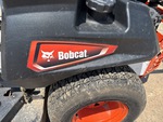 General Appearance with Paint