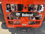 Engine with Exhaust System