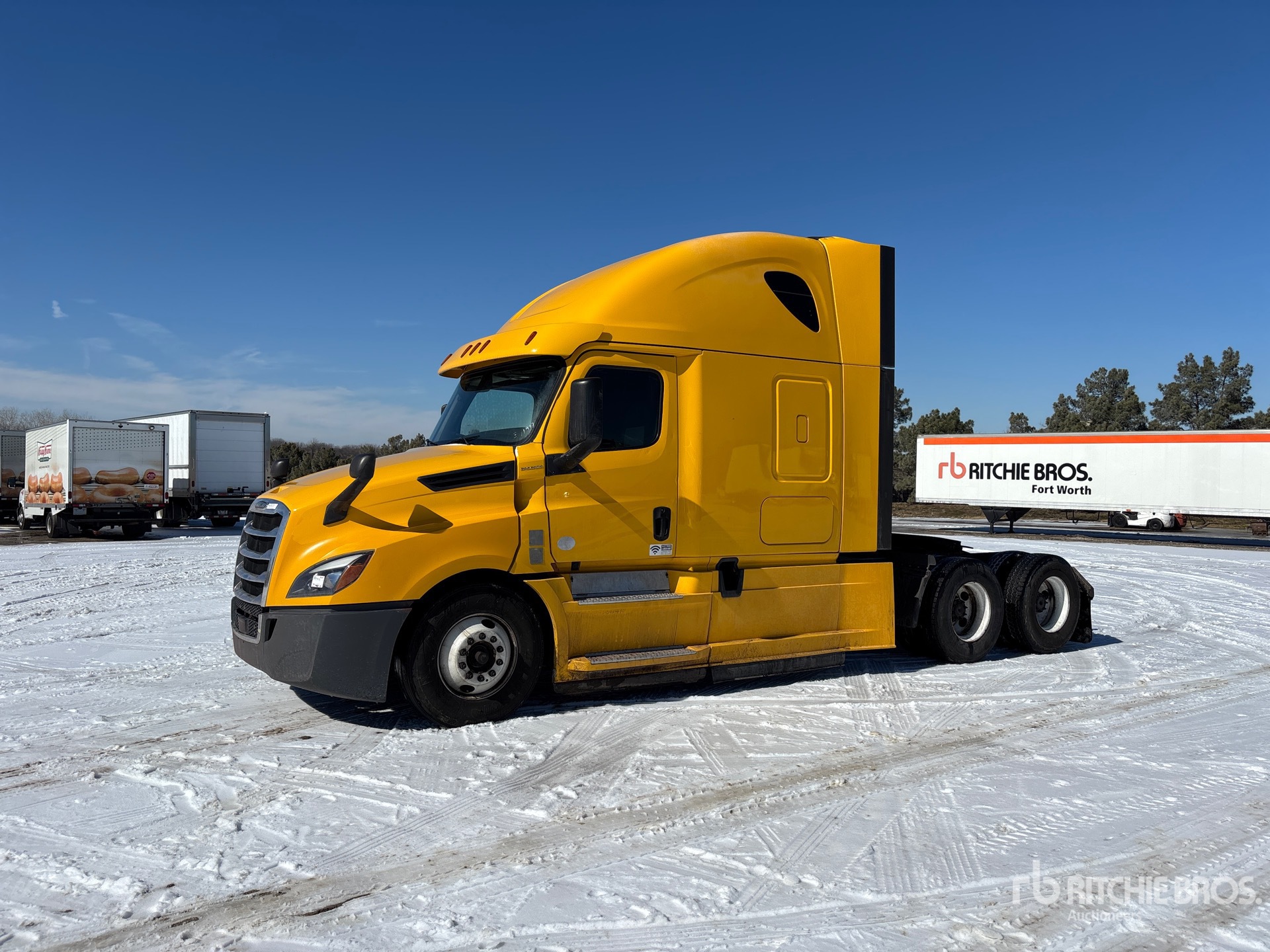 General Appearance with Spin