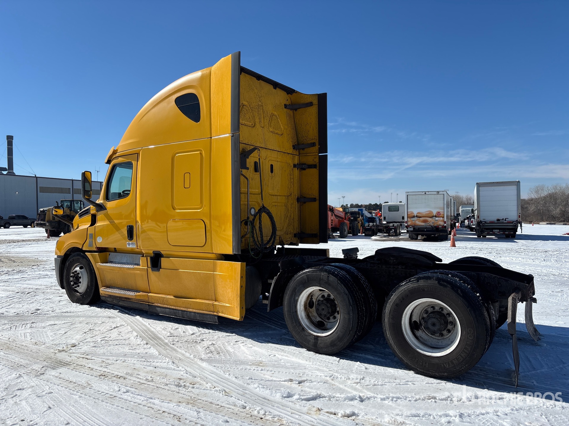 General Appearance with Zdjęcie, lewy dolny róg