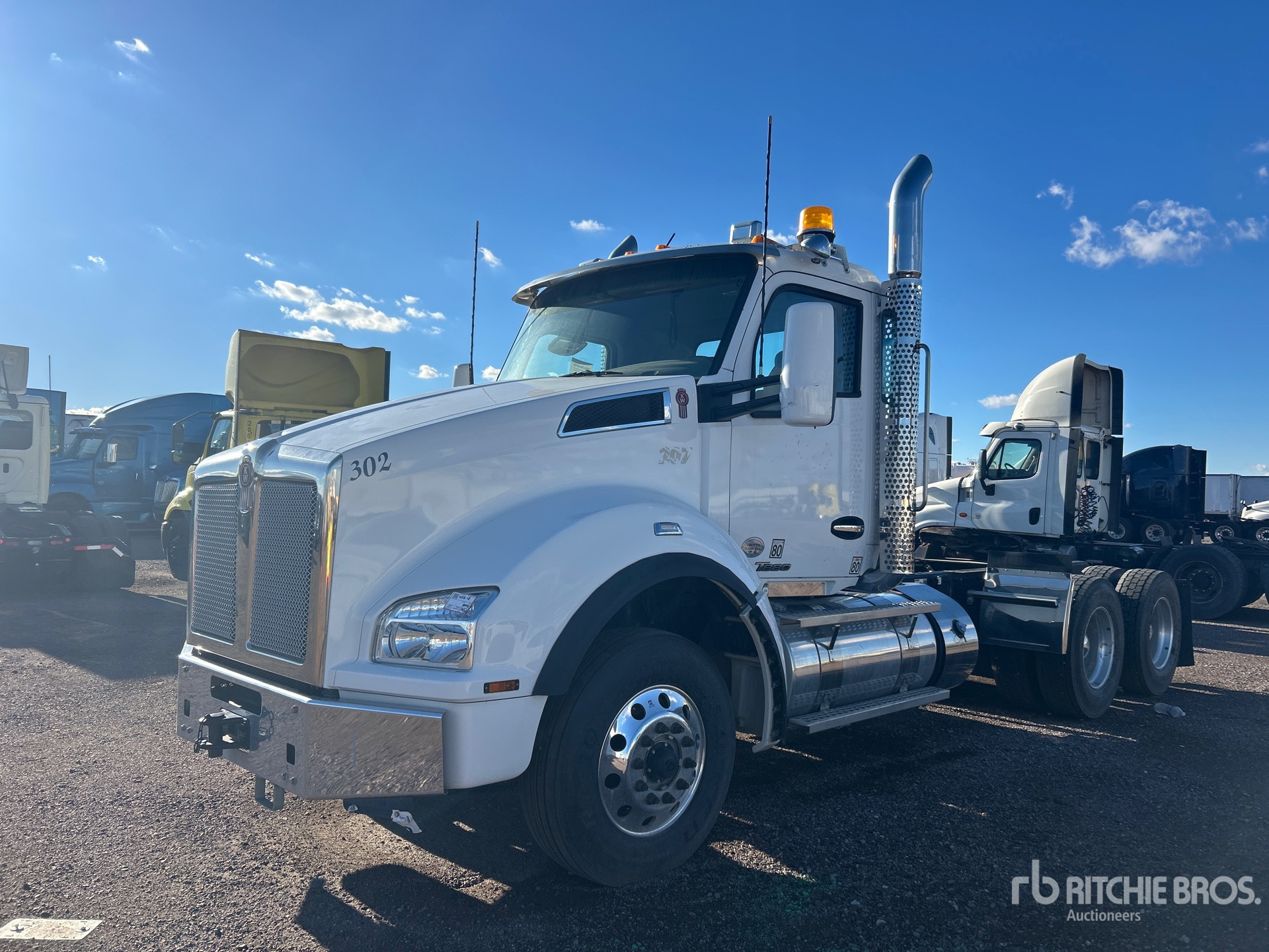 General Appearance with Spin