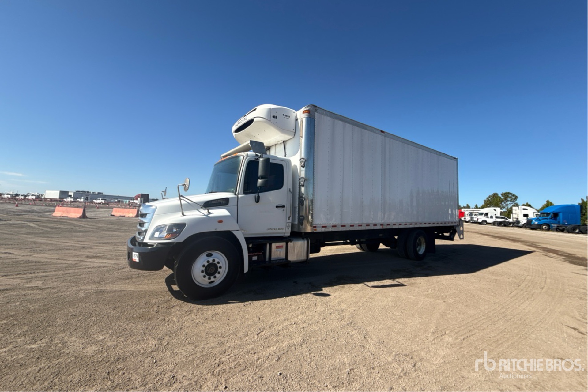 General Appearance with Spin