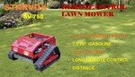 General Appearance with Featured Photo