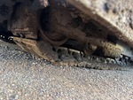 Undercarriage with 