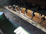 Chassis with 