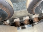 Undercarriage with 