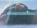 General Appearance with Second Serial Number/VIN Photo