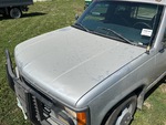 General Appearance with Paint