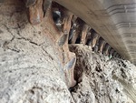 Rubber Track Undercarriage with 