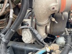 Engine with Exhaust System