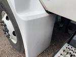 General Appearance with Paint