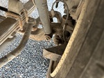 Brakes with 