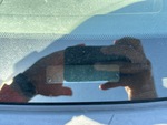 General Appearance with Second Serial Number/VIN Photo
