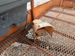 Control Station Upper with 