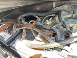 4 Engine with 