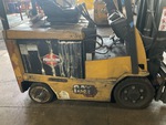 General Appearance with Paint
