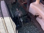 Brakes with 