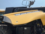 General Appearance with Paint