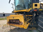 General Appearance with Paint