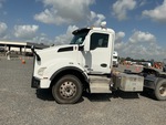 General Appearance with Paint