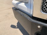 General Appearance with Peinture