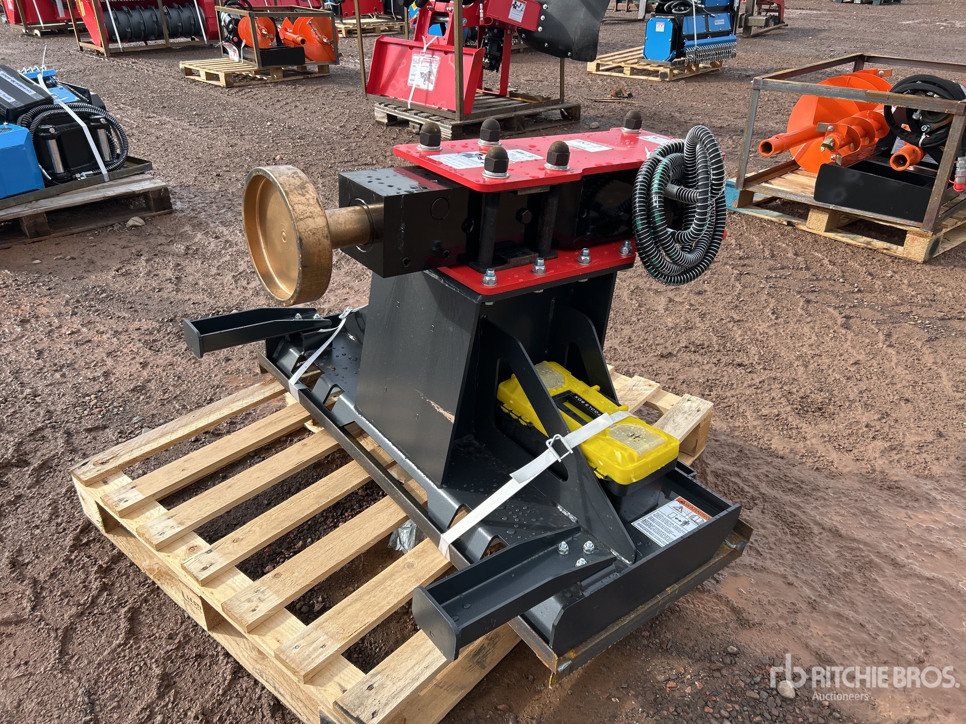 General Appearance with Bild, Ecke vorne links