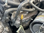 Engine with Exhaust System