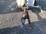 Trailer Chassis with 