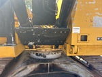 General Appearance with Paint