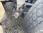 Underbody with Suspension Bushings