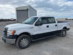 General Appearance with Featured Photo