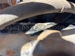 General Appearance with Second Serial Number/VIN Photo