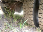 Underbody with 
