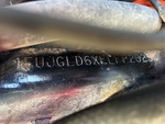 General Appearance with Second Serial Number/VIN Photo