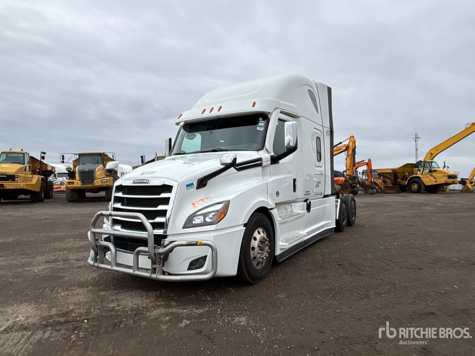 General Appearance with Spin