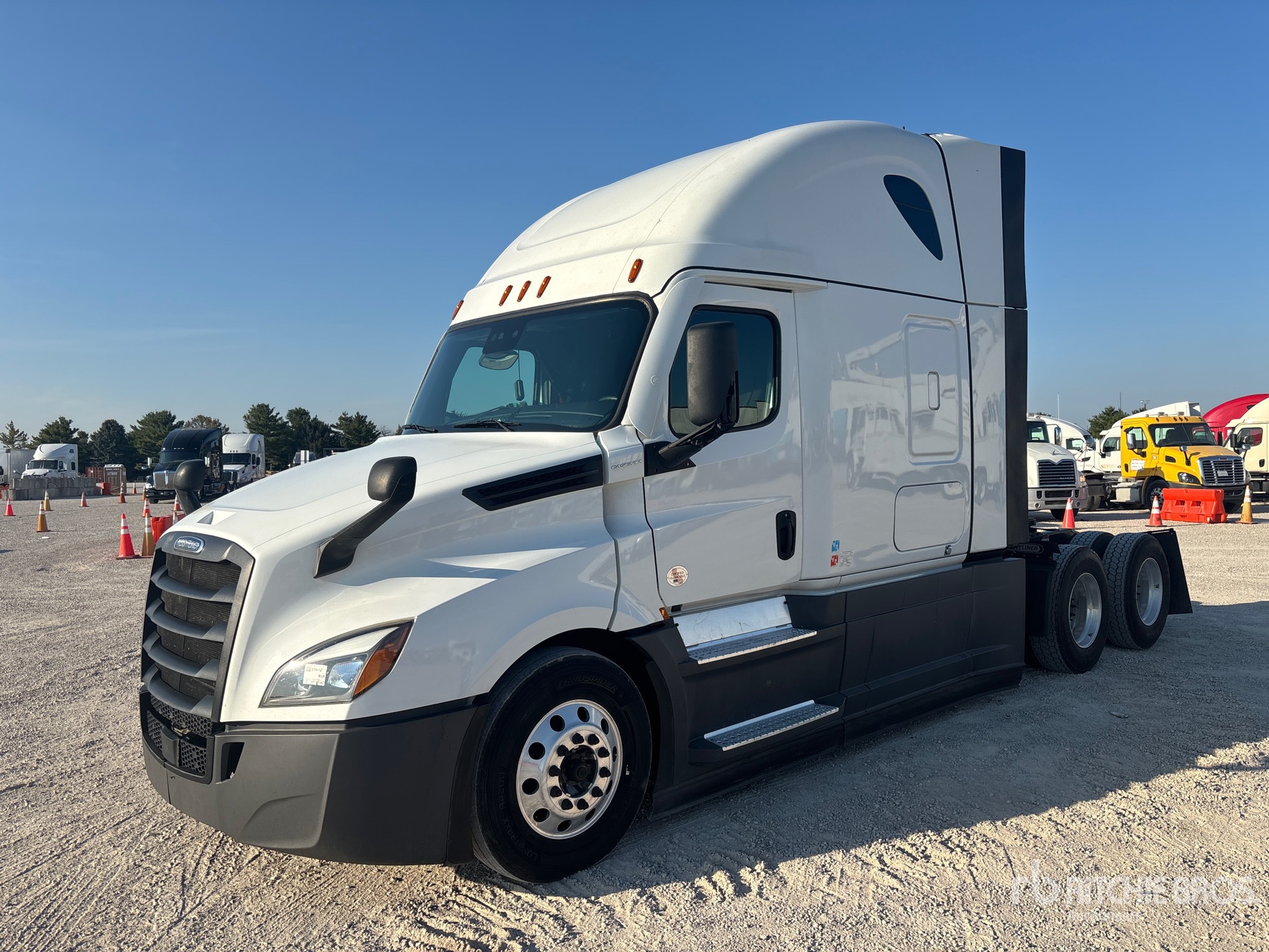 General Appearance with Spin