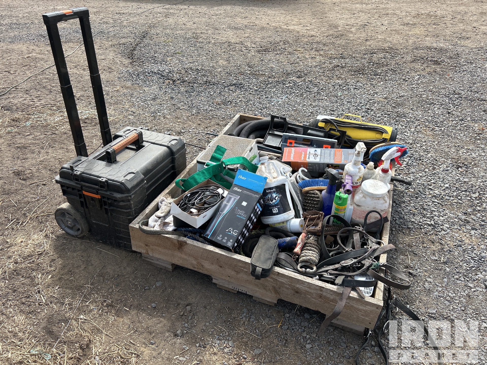 General Appearance with Bild, Ecke vorne links