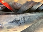 General Appearance with Second Serial Number/VIN Photo