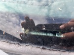 General Appearance with Second Serial Number/VIN Photo