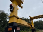 General Appearance with Paint