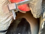 General Appearance with Second Serial Number/VIN Photo