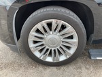 Chassis Photos with 