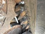 Undercarriage with 