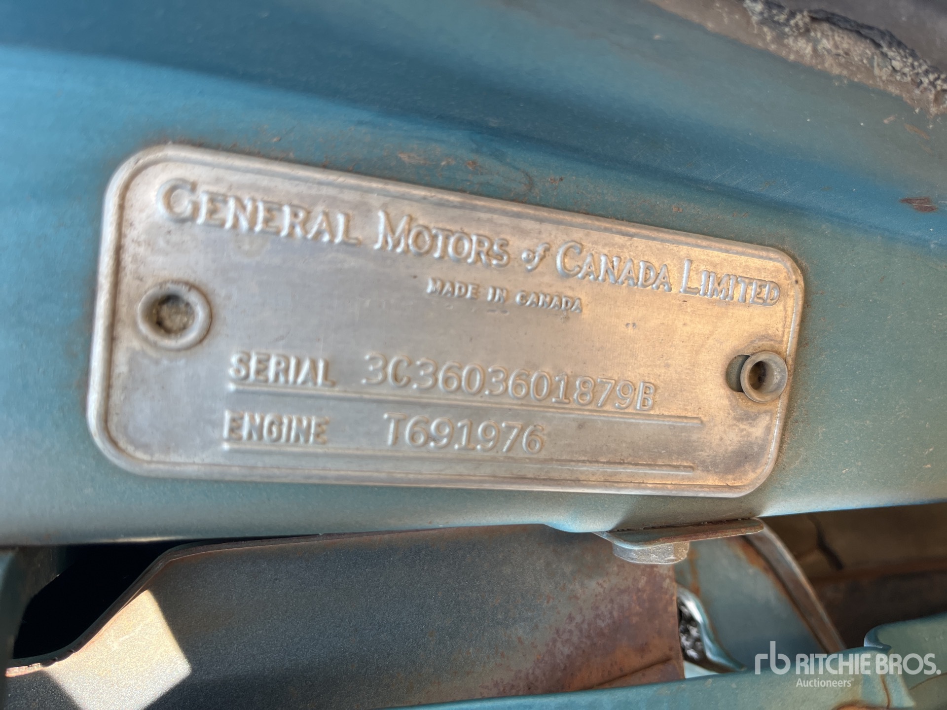 General Appearance with Numero seriale/numero d’identificazione del veicolo (VIN)